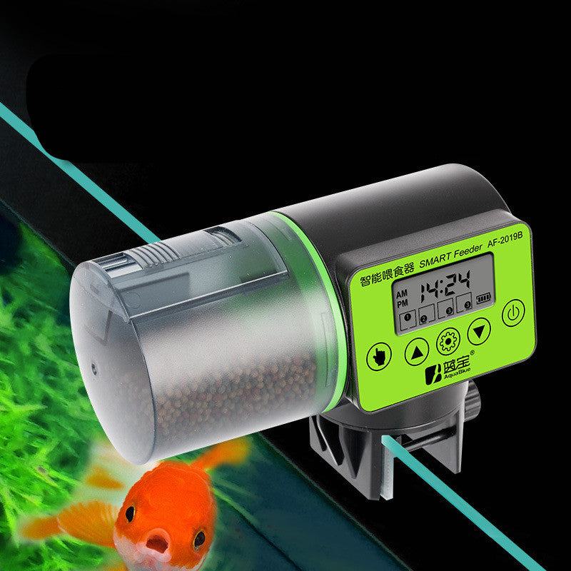Discover the Large Capacity Automatic Fish Feeder